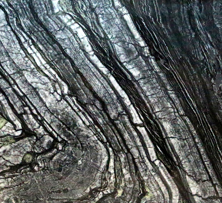 Ancient Wood