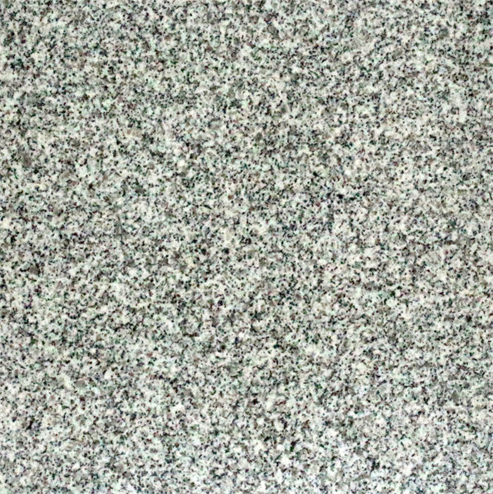 DLG603