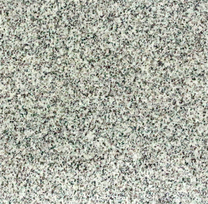 HBG603