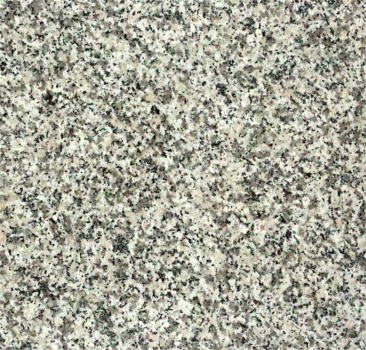 JMG603