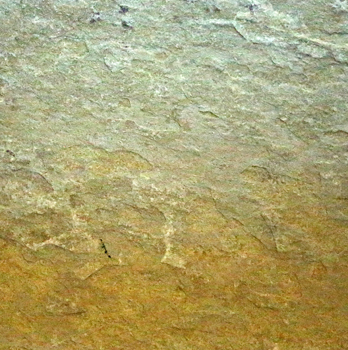 VNS-1120
