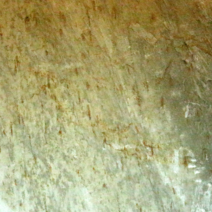 Yellow Woodvein